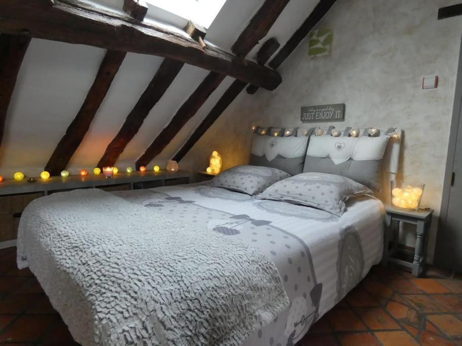 Maison De Charme Pres De Beauval Saint-Cyran-du-Jambot Eksteriør bilde